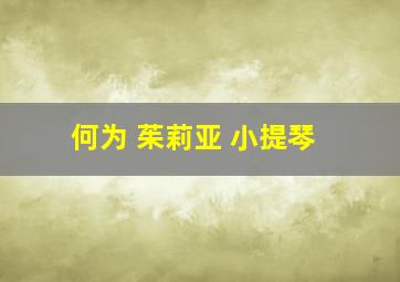 何为 茱莉亚 小提琴